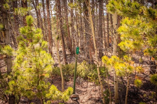 A long-forgotten mile marker